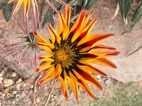 Aussie Opal Diggers Outback Retreat-Undergound - Tourism Caloundra 26