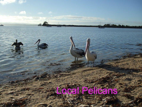 Casuarina Coastal Units - Tourism Caloundra 23
