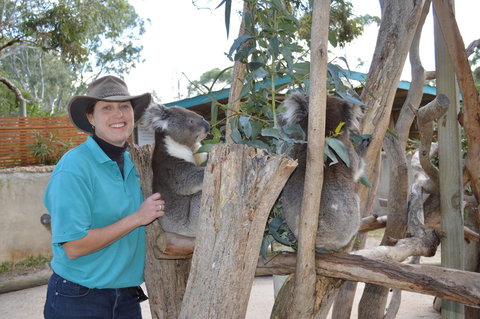 Lazy Days Cottage - Victor Harbor - Tourism Caloundra 1