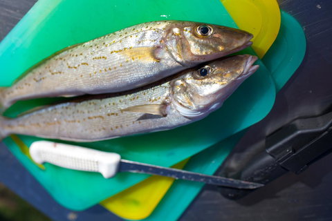 Modra\'s Apartments - Tourism Caloundra 17