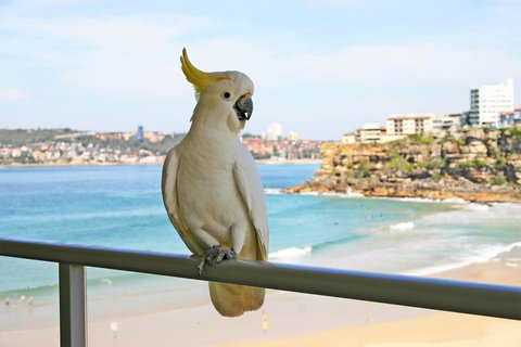 Beachfront Bliss - Tourism Caloundra 23