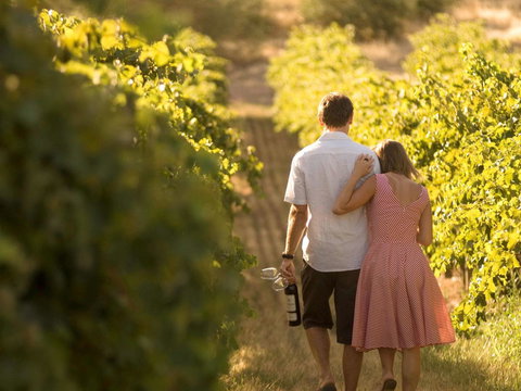 Novotel Barossa Valley Resort - Tourism Caloundra 40