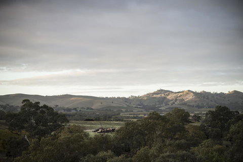 Novotel Barossa Valley Resort - Tourism Caloundra 23