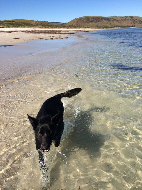 Beachside Holiday Park - Tourism Caloundra 17