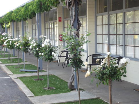 Guichen Bay Motel - Tourism Caloundra 38