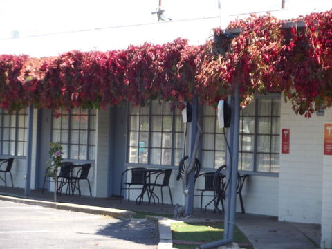 Guichen Bay Motel - Tourism Caloundra 23