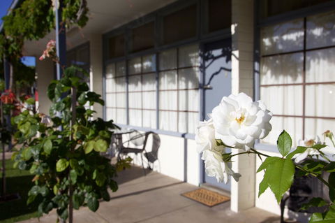 Guichen Bay Motel - Tourism Caloundra 33