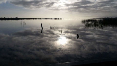 PS Federal Retreat Paddle Steamer Goolwa - Tourism Caloundra 16