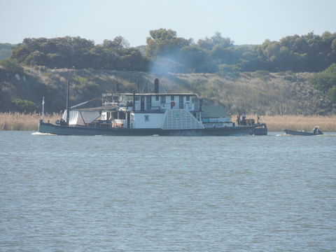PS Federal Retreat Paddle Steamer Goolwa - Tourism Caloundra 10