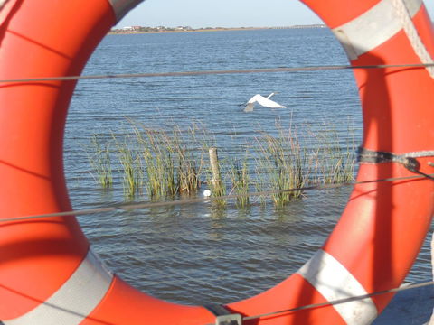 PS Federal Retreat Paddle Steamer Goolwa - Tourism Caloundra 18
