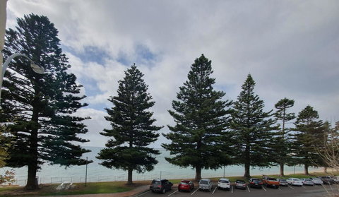 Pier Hotel Port Lincoln - Tourism Caloundra 12