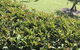 Avon View Stays Accommodation. - thumb 10
