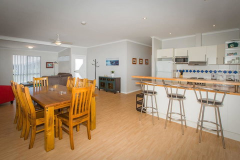 Desert Pea - Tourism Caloundra 5