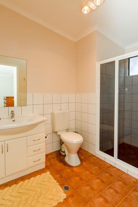 Desert Pea - Tourism Caloundra 10