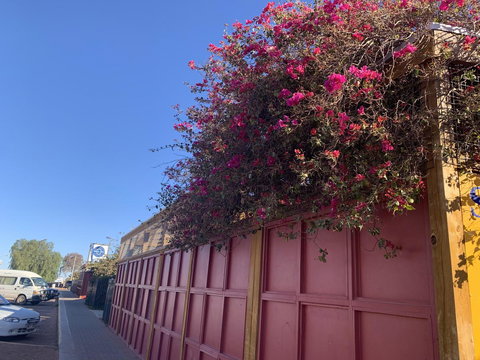 Opal Inn Hotel, Motel, Caravan Park - Tourism Caloundra 44