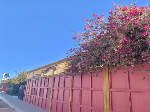 Opal Inn Hotel, Motel, Caravan Park - Tourism Caloundra 39