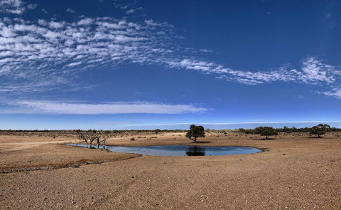 Opal Inn Hotel, Motel, Caravan Park - Tourism Caloundra 10