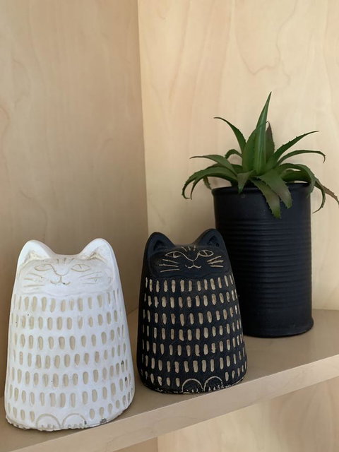 Sunshine Four - Tourism Caloundra 20