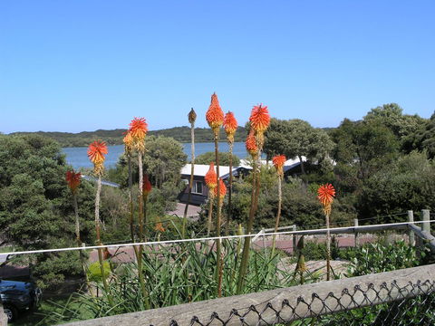 Lakeside Tourist Park - Tourism Caloundra 3