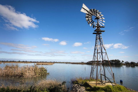 Limestone Ridge - Tourism Caloundra 16