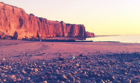 Ardrossan Caravan Park - Tourism Caloundra 31