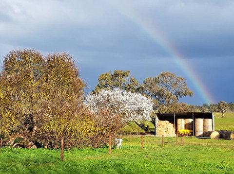 Pennys Road - Tourism Caloundra 18