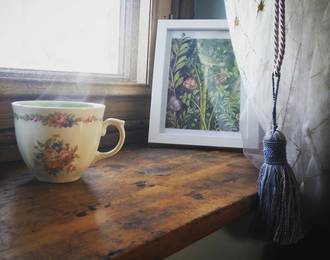 Pennys Road - Tourism Caloundra 3