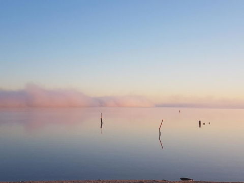 Barmera Lake Resort Motel - Tourism Caloundra 3