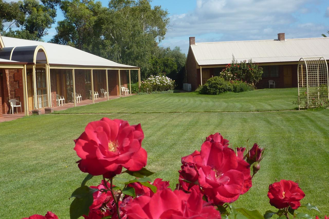Coonawarra SA Tourism Caloundra