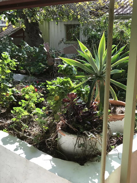 Cosy Nook - Tourism Caloundra 19