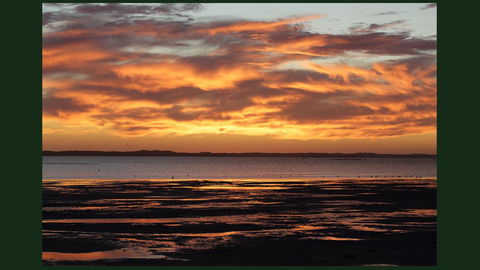 Gumnut Getaway BnB - Tourism Caloundra 22
