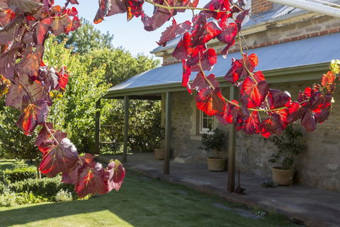 Grand Cru Estate Homestead - Tourism Caloundra 1