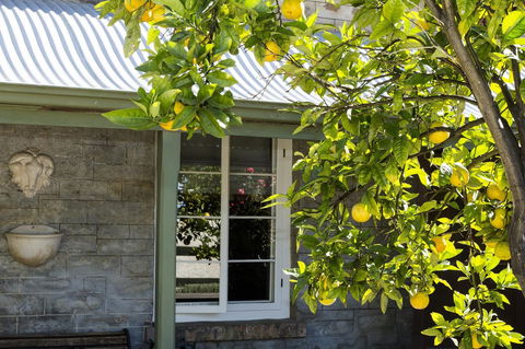 Grand Cru Estate Homestead - Tourism Caloundra 10