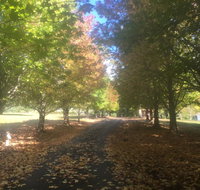 A peaceful cabin in the country - Tourism Caloundra