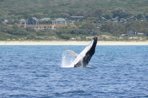 Pullman Bunker Bay Resort Margaret River - Tourism Caloundra 25