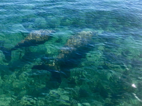 Escape 2 Exmouth - Tourism Caloundra 28