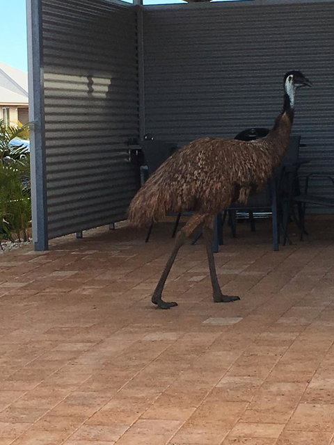 Escape 2 Exmouth - Tourism Caloundra 15