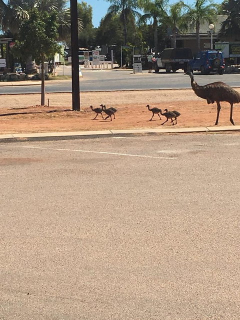 Escape 2 Exmouth - Tourism Caloundra 29