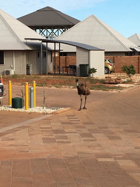 Escape 2 Exmouth - Tourism Caloundra 16