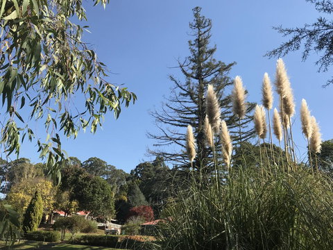 Forest Lodge Resort - Tourism Caloundra 24