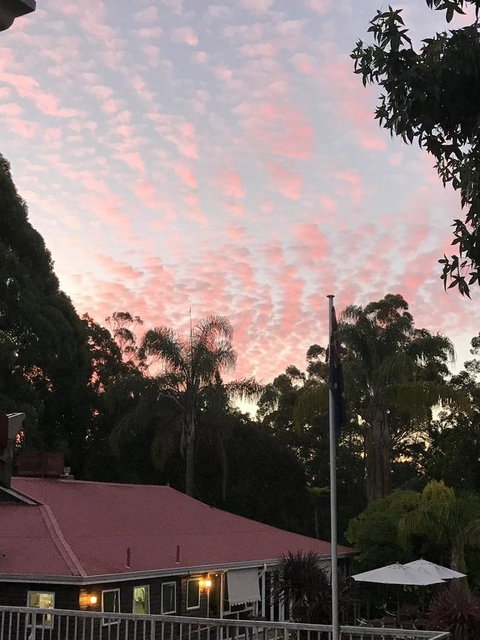 Forest Lodge Resort - Tourism Caloundra 44