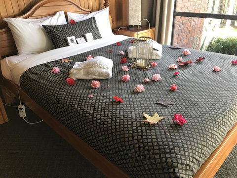 Forest Lodge Resort - Tourism Caloundra 3