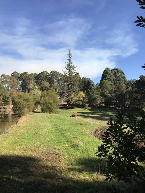 Forest Lodge Resort - Tourism Caloundra 31