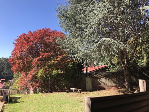 Forest Lodge Resort - Tourism Caloundra 42