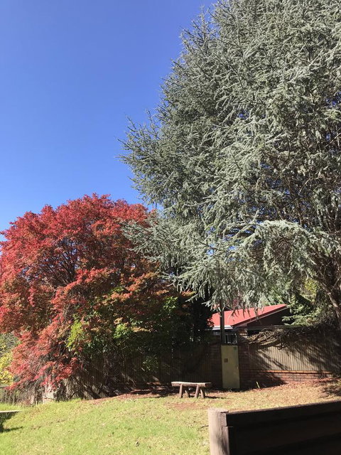 Forest Lodge Resort - Tourism Caloundra 35