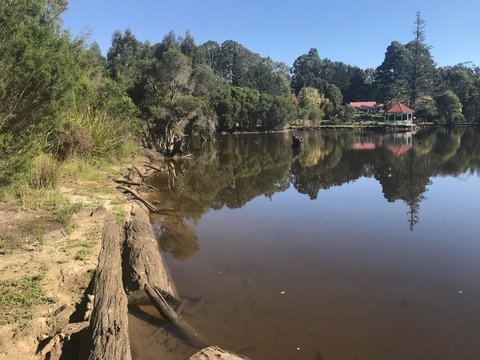 Forest Lodge Resort - Tourism Caloundra 23