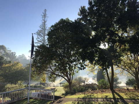 Forest Lodge Resort - Tourism Caloundra 21