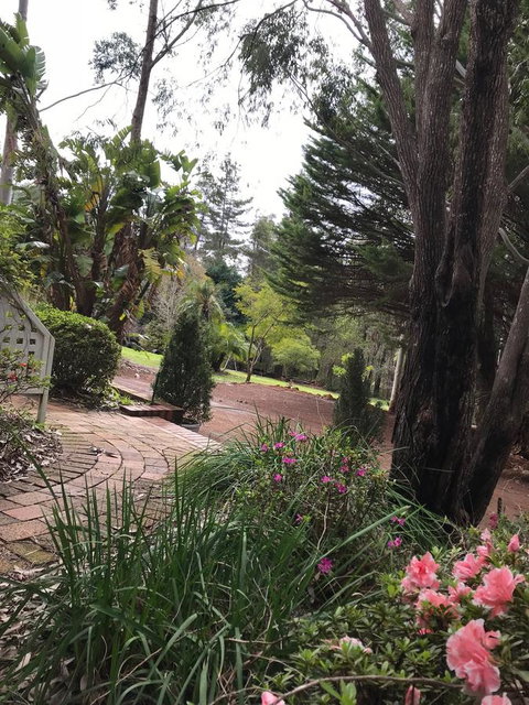 Forest Lodge Resort - Tourism Caloundra 10