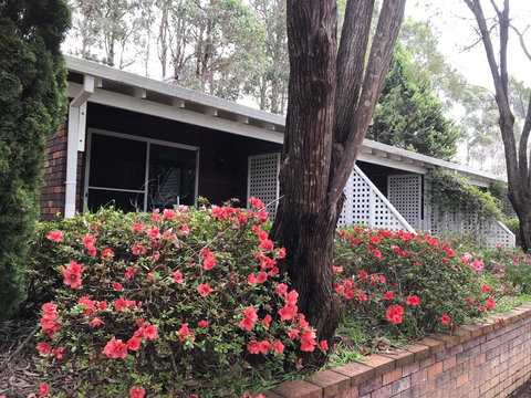 Forest Lodge Resort - Tourism Caloundra 13