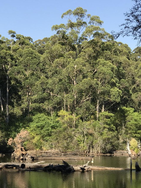 Forest Lodge Resort - Tourism Caloundra 22